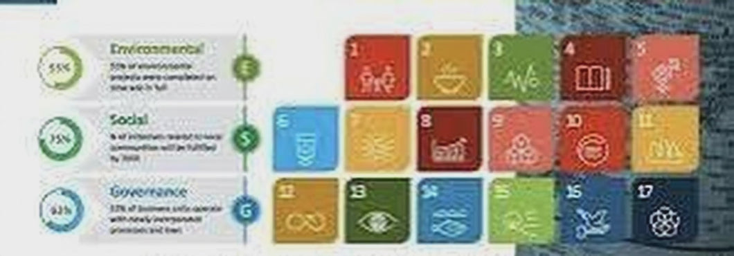 Business Sustainability Testing (ECG) Metrics