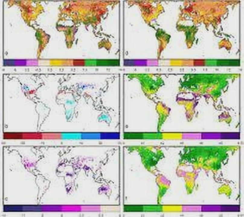 Global Scaling -Multinationalization (Starting at $500)