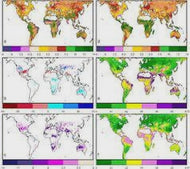 Global Scaling -Multinationalization (Starting at $500)